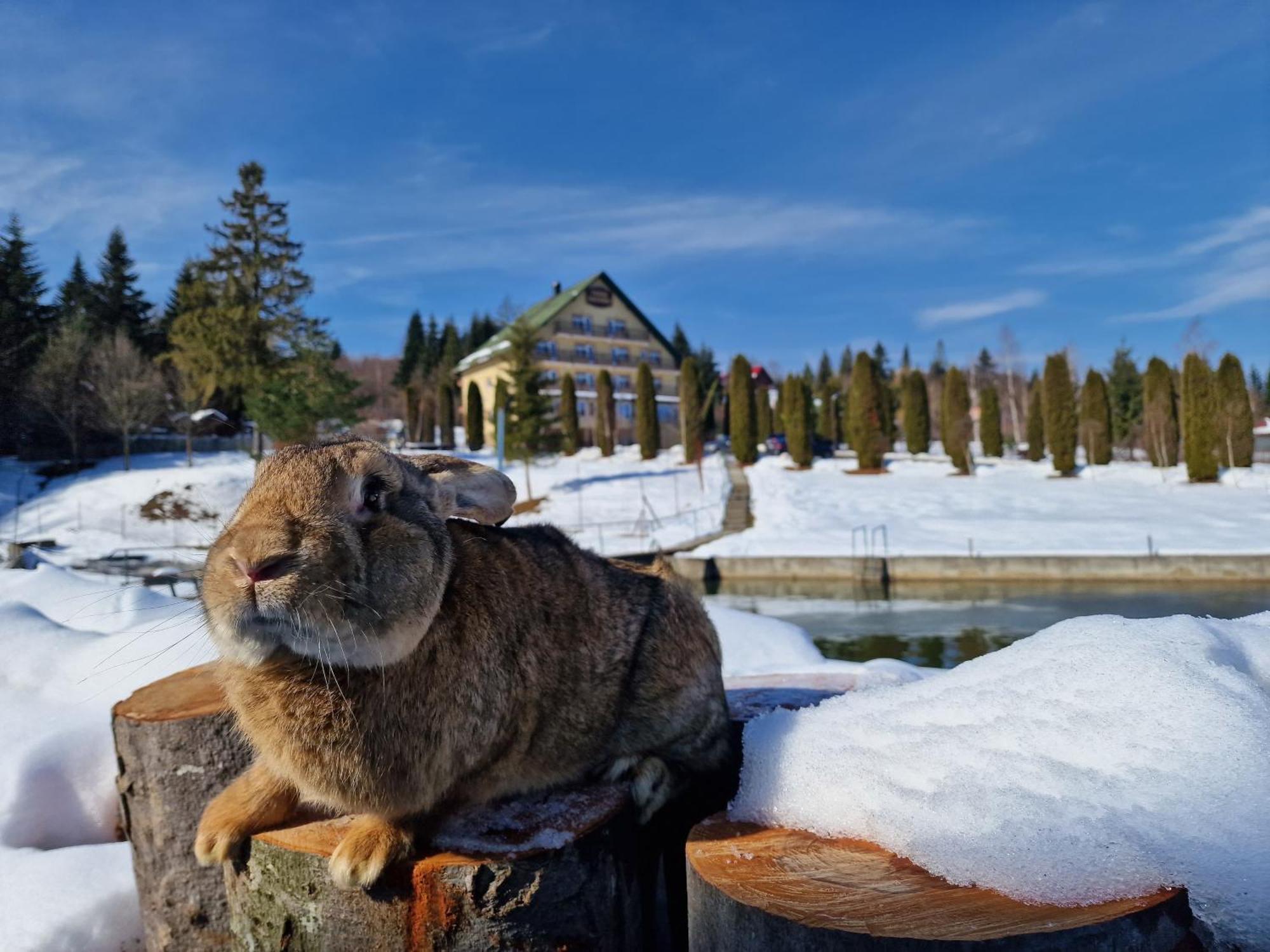 Hotel Poiana Bucovat Hura-Humora Exteriér fotografie